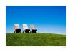 three chairs
