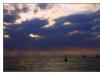 evening light on "weser"