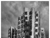 Gehry House